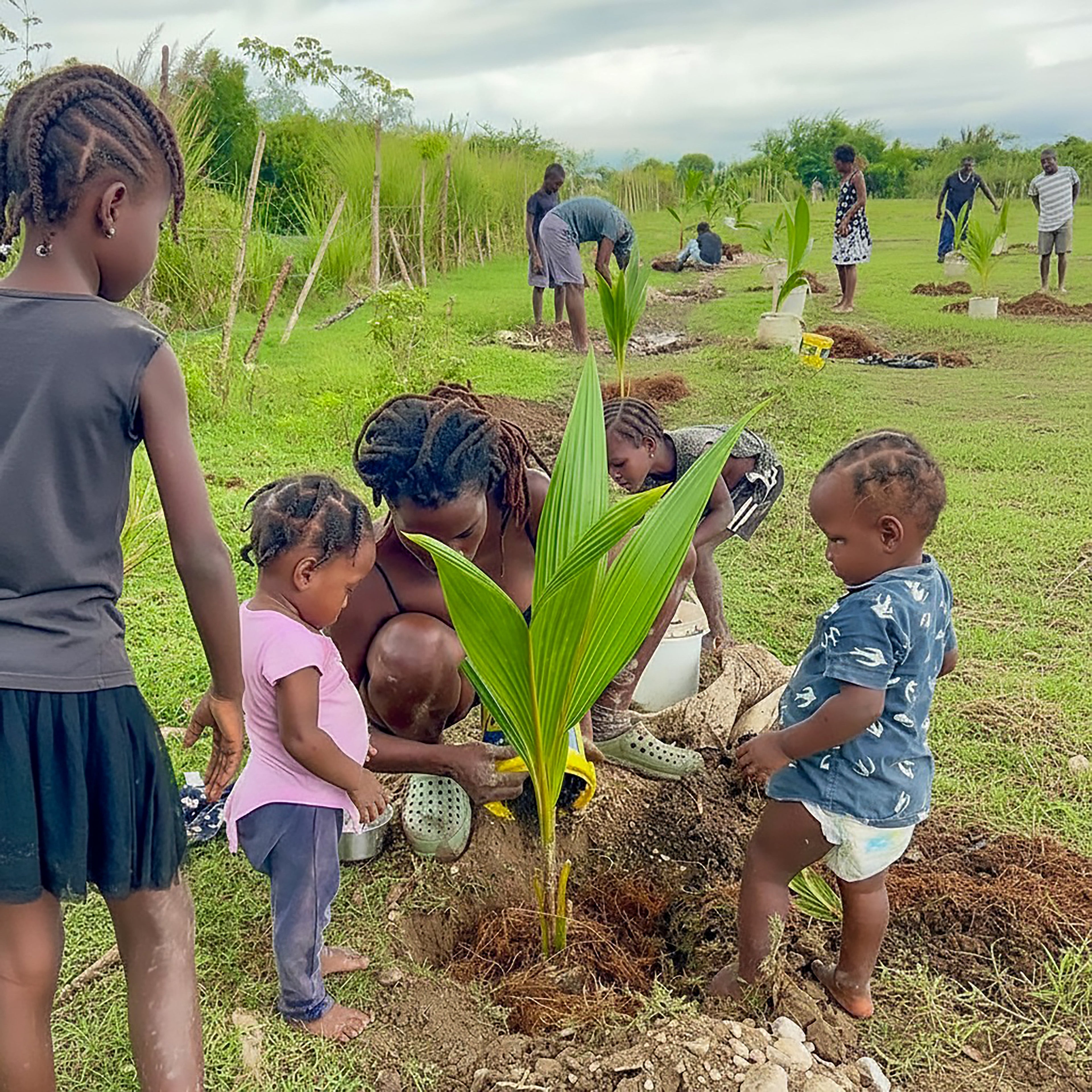 Edikasyon anviwònman an